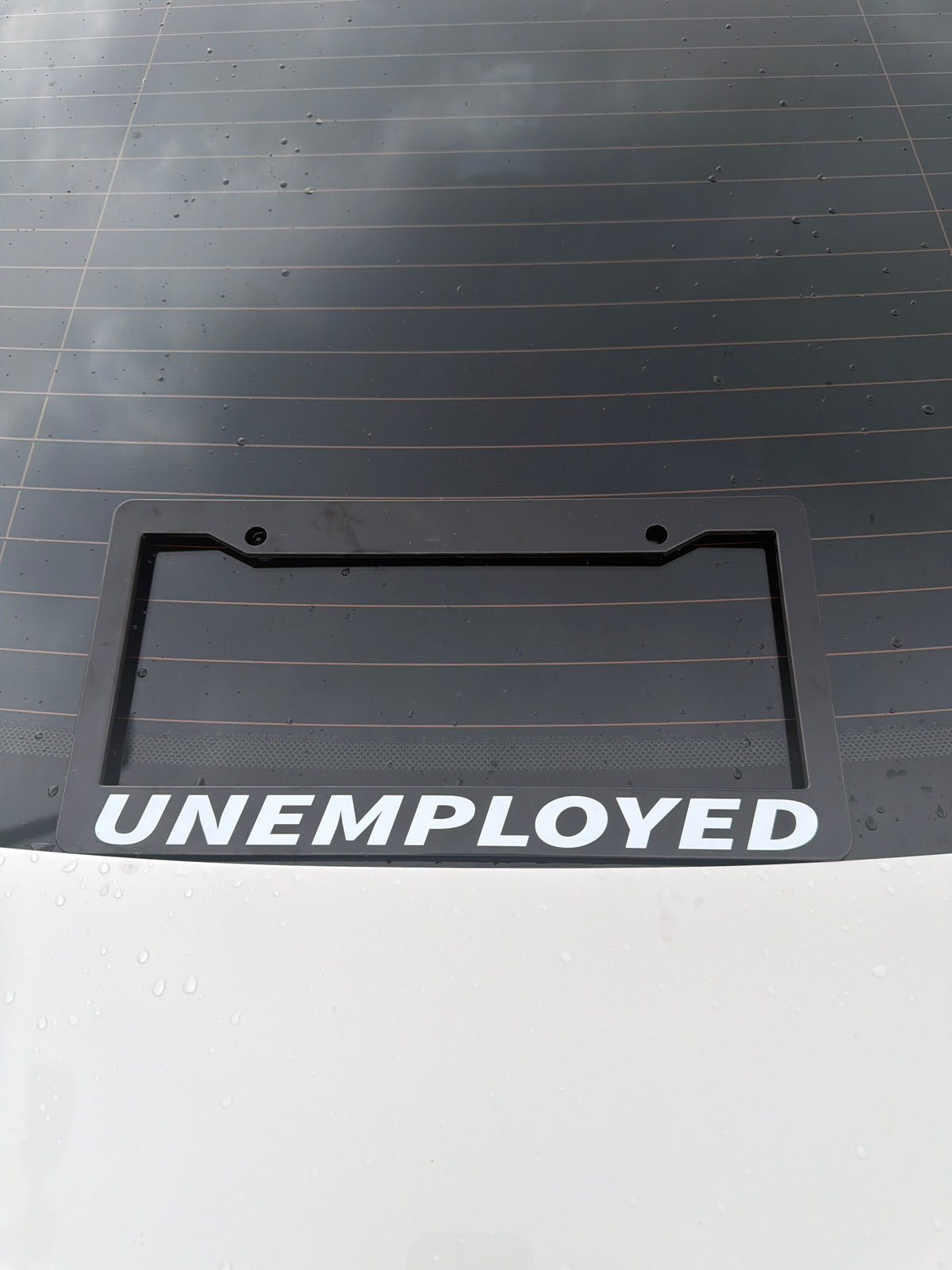 license plate frame